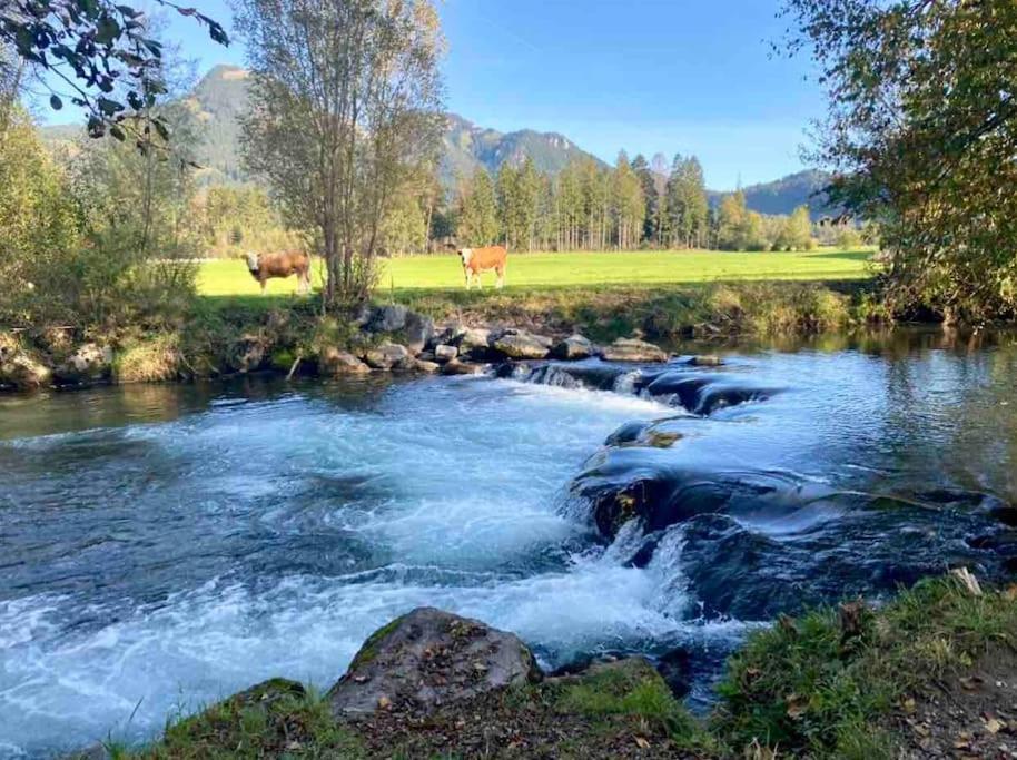 Casa Natur Pur, 85M2 Mit Garten Sauna Fischbachau Exteriör bild