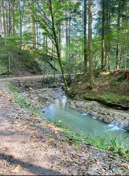 Casa Natur Pur, 85M2 Mit Garten Sauna Fischbachau Exteriör bild
